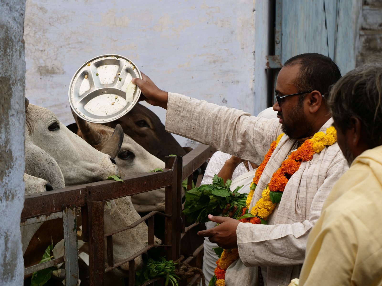  251 Gopashtami Radha kunda Govardhan 19.11.04